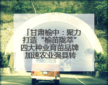 甘肃榆中：聚力打造“榆苗陇萃”四大种业育苗品牌 加速农业强县转型步伐