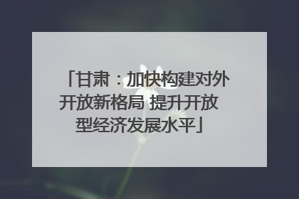 甘肃：加快构建对外开放新格局 提升开放型经济发展水平