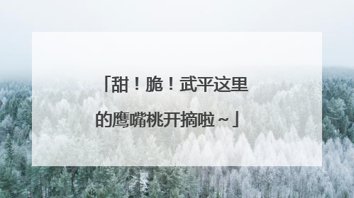 甜！脆！武平这里的鹰嘴桃开摘啦～
