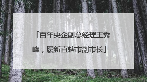 百年央企副总经理王秀峰，履新直辖市副市长