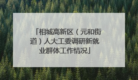 相城高新区（元和街道）人大工委调研新就业群体工作情况