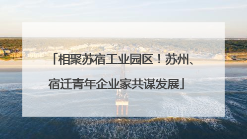 相聚苏宿工业园区！苏州、宿迁青年企业家共谋发展