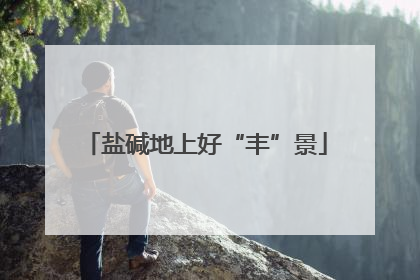 盐碱地上好“丰”景