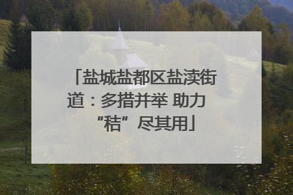 盐城盐都区盐渎街道：多措并举 助力“秸”尽其用