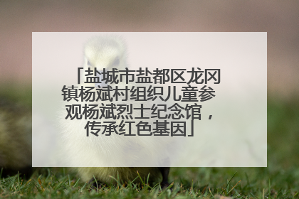 盐城市盐都区龙冈镇杨斌村组织儿童参观杨斌烈士纪念馆，传承红色基因