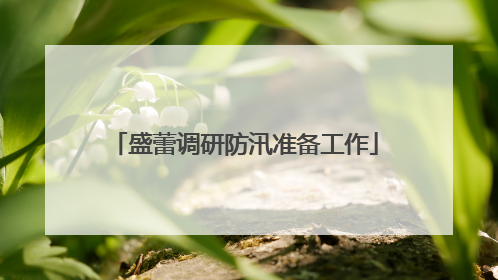 盛蕾调研防汛准备工作