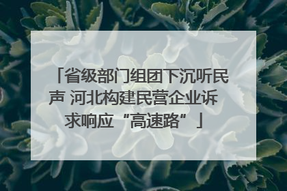 省级部门组团下沉听民声 河北构建民营企业诉求响应“高速路”