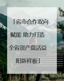 省市合作双向赋能 助力打造全省资产盘活益阳新样板