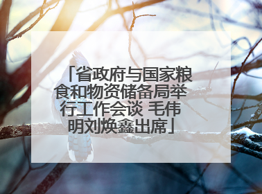 省政府与国家粮食和物资储备局举行工作会谈 毛伟明刘焕鑫出席