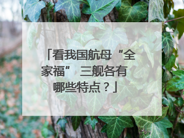 看我国航母“全家福” 三舰各有哪些特点？