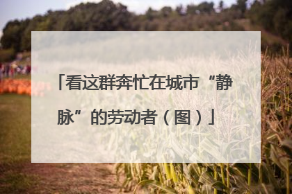 看这群奔忙在城市“静脉”的劳动者（图）