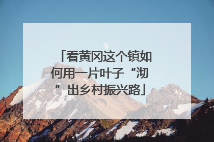 看黄冈这个镇如何用一片叶子“沏”出乡村振兴路