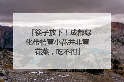 筷子放下！成都绿化带桔黄小花并非黄花菜，吃不得