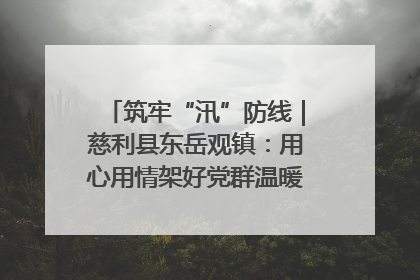筑牢“汛”防线｜慈利县东岳观镇：用心用情架好党群温暖悠长的“连心桥”