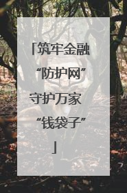 筑牢金融“防护网” 守护万家“钱袋子”
