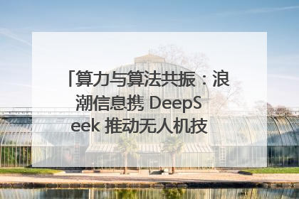 算力与算法共振：浪潮信息携 DeepSeek 推动无人机技术在舟山落地