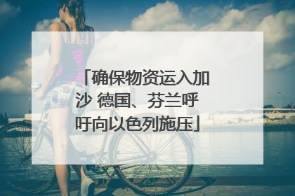确保物资运入加沙 德国、芬兰呼吁向以色列施压