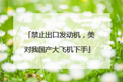 禁止出口发动机，美对我国产大飞机下手
