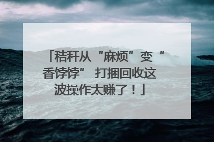 秸秆从“麻烦”变“香饽饽” 打捆回收这波操作太赚了！