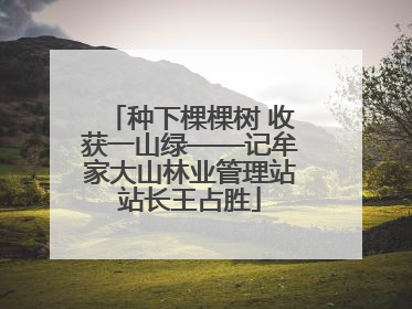 种下棵棵树 收获一山绿——记牟家大山林业管理站站长王占胜
