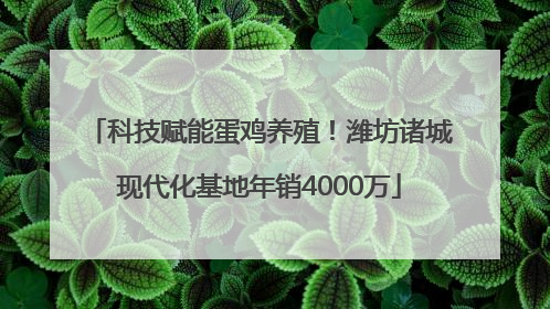 科技赋能蛋鸡养殖！潍坊诸城现代化基地年销4000万
