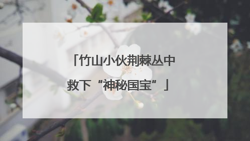 竹山小伙荆棘丛中救下“神秘国宝”