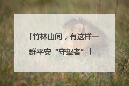 竹林山间，有这样一群平安“守望者”
