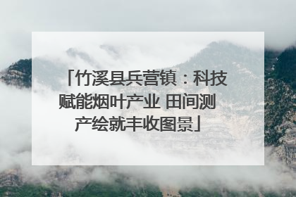 竹溪县兵营镇：科技赋能烟叶产业 田间测产绘就丰收图景