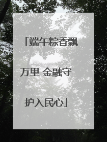 端午粽香飘万里 金融守护入民心