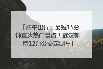 端午出行，最短15分钟直达热门景点！武汉新增12台公交定制车