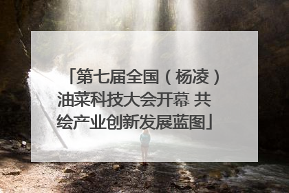 第七届全国（杨凌）油菜科技大会开幕 共绘产业创新发展蓝图