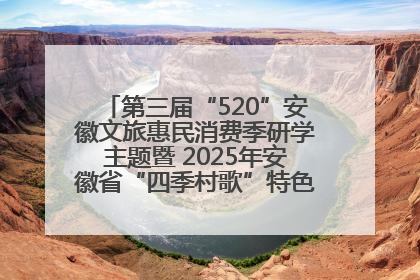 第三届“520”安徽文旅惠民消费季研学主题暨 2025年安徽省“四季村歌”特色展演燃动池州