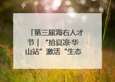 第三届海右人才节｜“拾夏凉·华山站”激活“生态聚才”强磁场