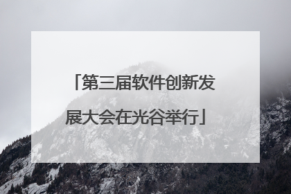 第三届软件创新发展大会在光谷举行