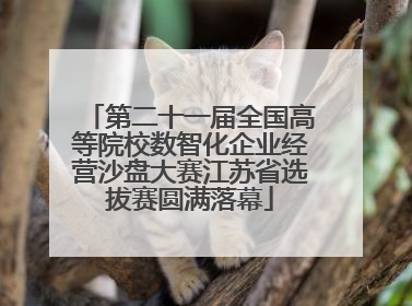 第二十一届全国高等院校数智化企业经营沙盘大赛江苏省选拔赛圆满落幕