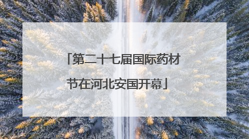 第二十七届国际药材节在河北安国开幕