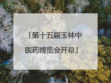 第十五届玉林中医药博览会开幕