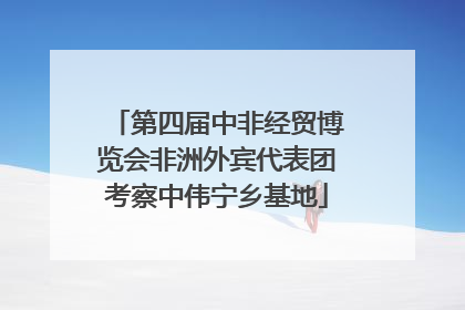 第四届中非经贸博览会非洲外宾代表团考察中伟宁乡基地
