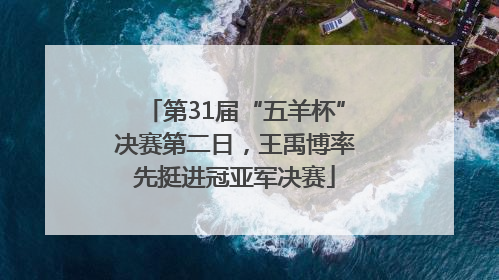 第31届“五羊杯”决赛第二日，王禹博率先挺进冠亚军决赛