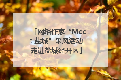 网络作家“Meet 盐城”采风活动走进盐城经开区