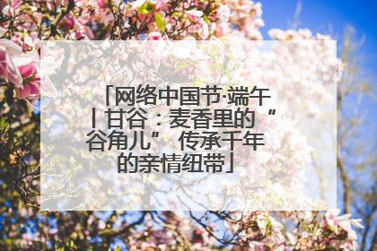 网络中国节·端午丨甘谷：麦香里的“谷角儿” 传承千年的亲情纽带