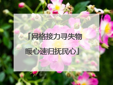 网格接力寻失物 暖心速归抚民心