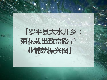 罗平县大水井乡：菊花栽出致富路 产业铺就振兴图