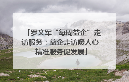 罗文军“每周益企”走访服务：益企走访暖人心 精准服务促发展