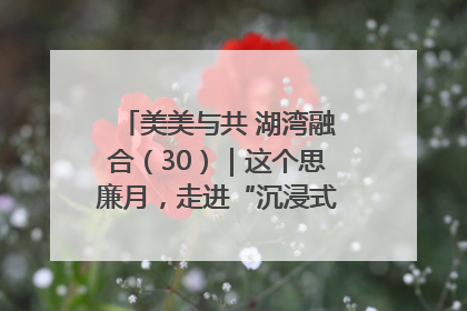 美美与共 湖湾融合（30）｜这个思廉月，走进“沉浸式”清风课堂
