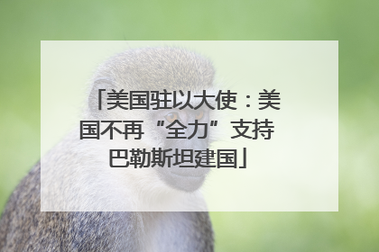 美国驻以大使：美国不再“全力”支持巴勒斯坦建国