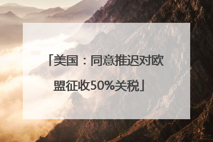 美国：同意推迟对欧盟征收50%关税
