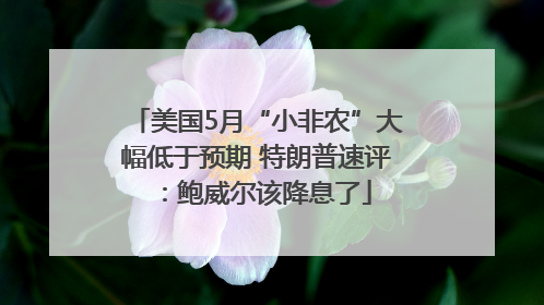 美国5月“小非农”大幅低于预期 特朗普速评：鲍威尔该降息了