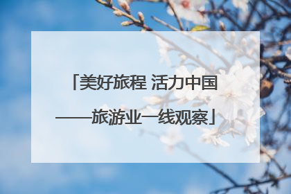美好旅程 活力中国——旅游业一线观察