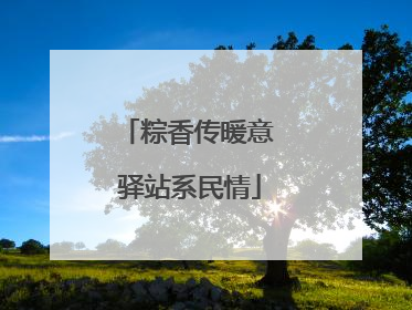 粽香传暖意 驿站系民情
